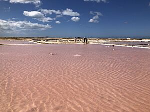 Salt evaporation pond in Manaure
