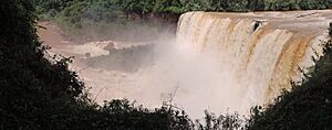 Salto del Ñacunday - panoramio (1)