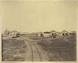 StateLibQld 1 234300 Maryborough Station Yard, 1882