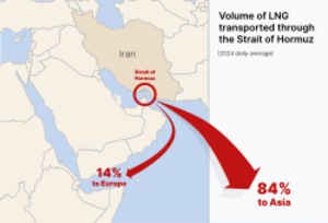 Strait of Hormuz daily average of LNG (2024)
