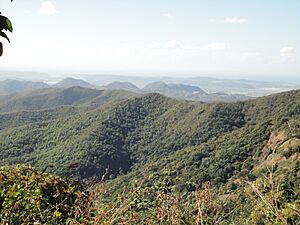 Tabonuco, Sabana Grande 00637, Puerto Rico - panoramio - ibertog4 (3)