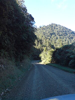 Tapu-Coroglen Road, Coromandel II