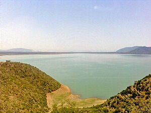Tarbela dam