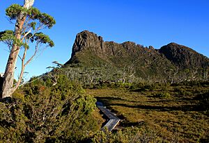 The Acropolis (Mountain)
