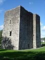 Threecastles near Kilbride, Co Wicklow. - geograph.org.uk - 262197