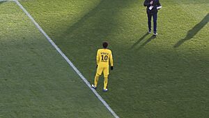 Toulouse IMG 0340 (25393764237) (cropped)