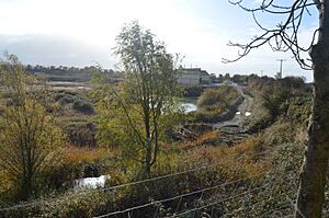 Upware Bridge Pit North 2