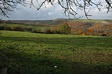 View over the Woodchester Park - geograph.org.uk - 1044092.jpg