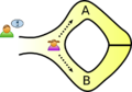 Zkip alibaba1