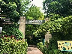 Zoo Miami, Amazon and Beyond