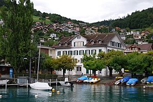 2011-07-23 Lago de Thun (Foto Dietrich Michael Weidmann) 333