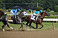 American Pharoah Travers