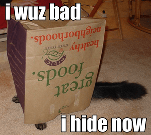 Bad cat hides lolcat