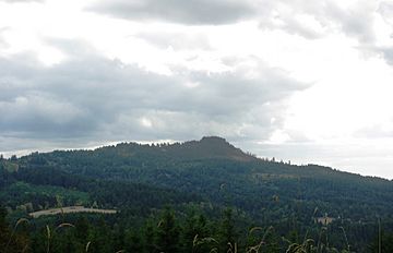 Bald Peak of the Chehalem Mountains in Oregon.JPG