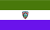 Flag of Sonsonate
