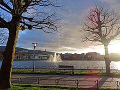 Bergen, Lille Lungegårdsvannet - panoramio (2)