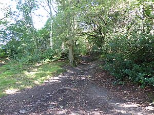 Bixley Heath 3