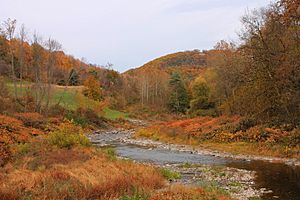 Bowman Creek in Eaton Township