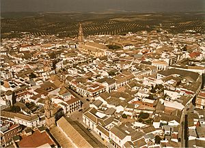 Bujalance from the air