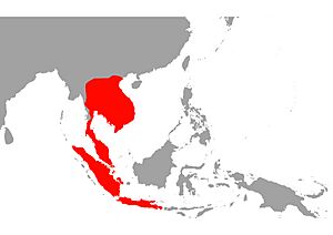 Bungarus candidus map.jpg