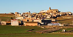 Campillo de Aragón, Zaragoza, España, 2016-01-05, DD 07.JPG