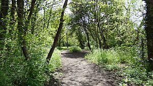 Castle Hill, Chessington 3