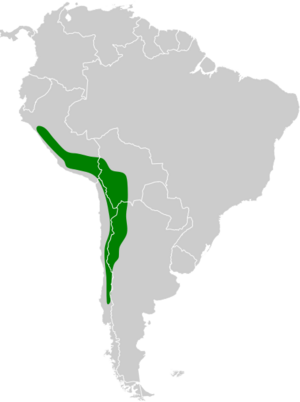 Chloephaga melanoptera map.svg