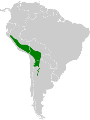 Cinclodes albiventris map.svg