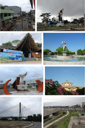 From top, left to right: February 12 Street, Monument to the Worker, New Loja Ecological Park, Simon Bolivar Park, Monument to the Heroes of Cenepa, Our Lady of the Swan Cathedral, Aguarico River Bridge and New Loja Recreational Park