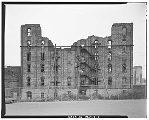 Crown Roller Mill, St. Anthony Falls, Minneapolis, Hennepin County, HAER MN-12--6