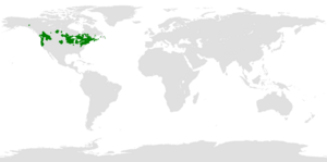 Distribution of Aeshna canadensis.png