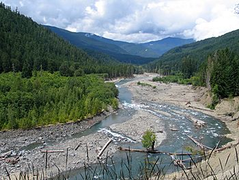 Elwha River - Humes Ranch Area2.JPG