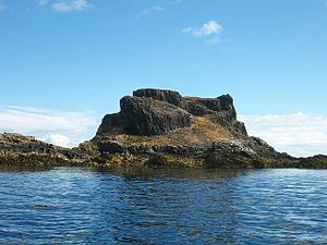 Fidra - 'Castle Tarbet' - geograph.org.uk - 208457.jpg