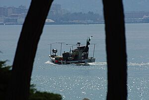 Fishing boat at Barcola