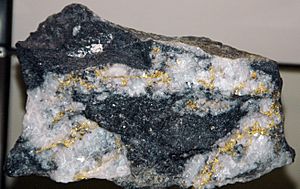 Gold-quartz hydrothermal vein in matrix (Amador County, California, USA) (17161938811)