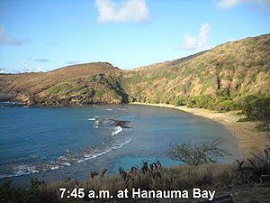 Hawaii Kai Rentals Blog Image