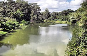 Ibirapuera Park (2484065600)