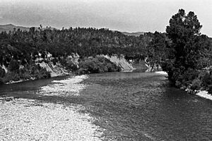 Inangahua River, West Coast, New Zealand, 1976