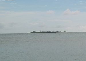 Isla de Cardona, Ponce, PR (IMG 3697C)
