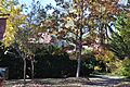 J.C.M. Merrillat House