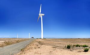 Klipheuwel wind farm 2008