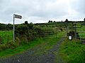 Lane to Mullyash Cairn - geograph.org.uk - 1442690