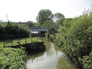 Looking up the canal - geograph.org.uk - 1405703