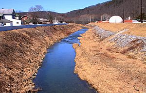 Mahoning Creek in its lower reaches