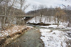 Main and east branch confluence - Euclid Creek Reservation