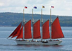 Margaret Todd under sail (4005478541)