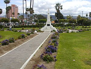 Mexican garden (3308583151)