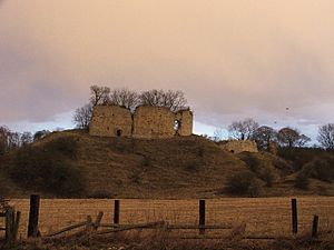 Mitford Castle - geograph.org.uk - 132902
