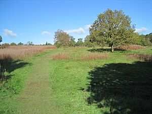 Monken Hadley Common 1
