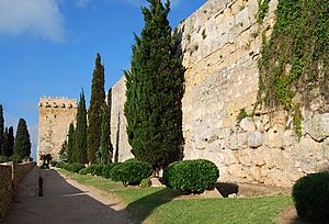 Muralles romanes (Tarragona) - 4.jpg